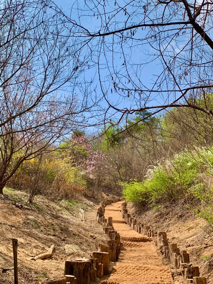 병원 이미지 14