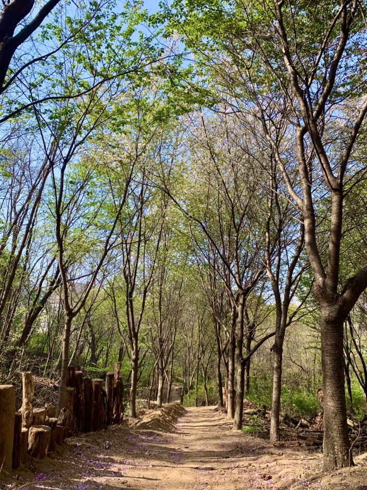 병원 이미지 15