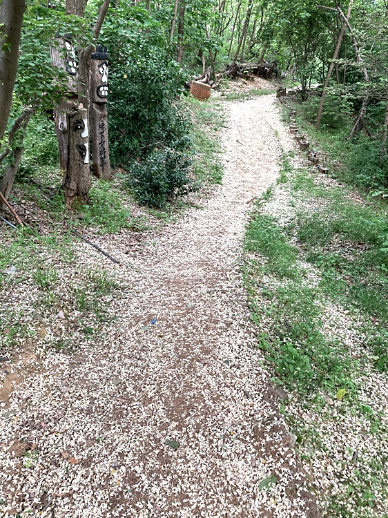 병원 이미지 17