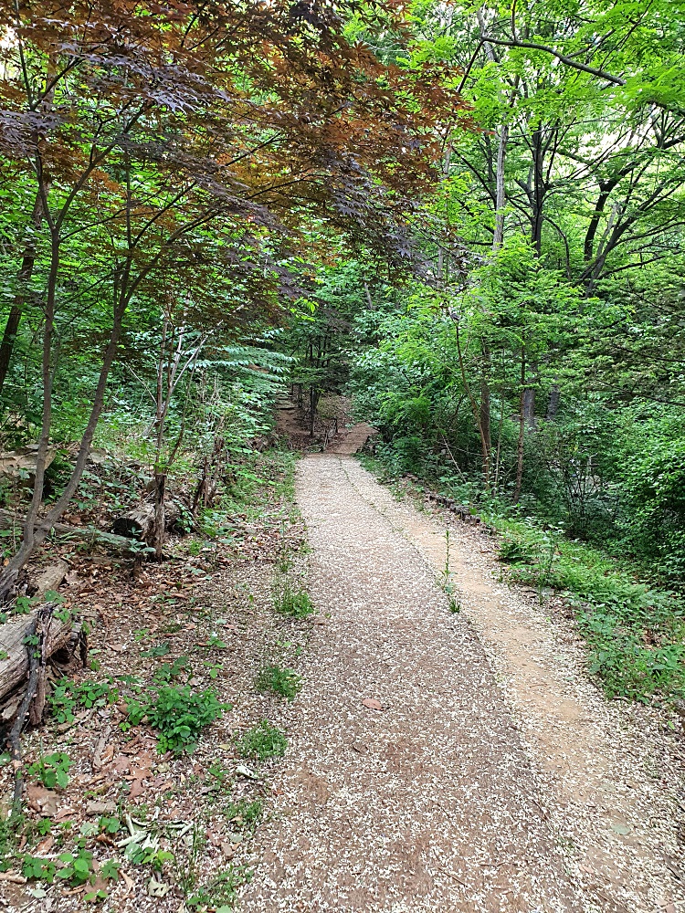 병원 이미지 18