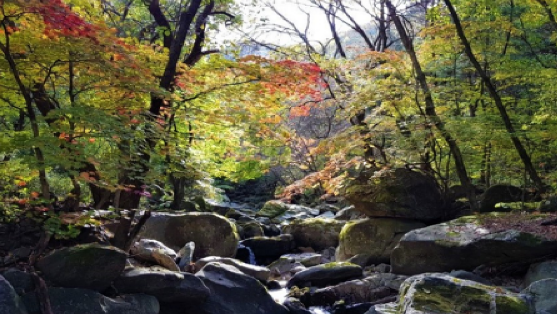 병원 이미지 21