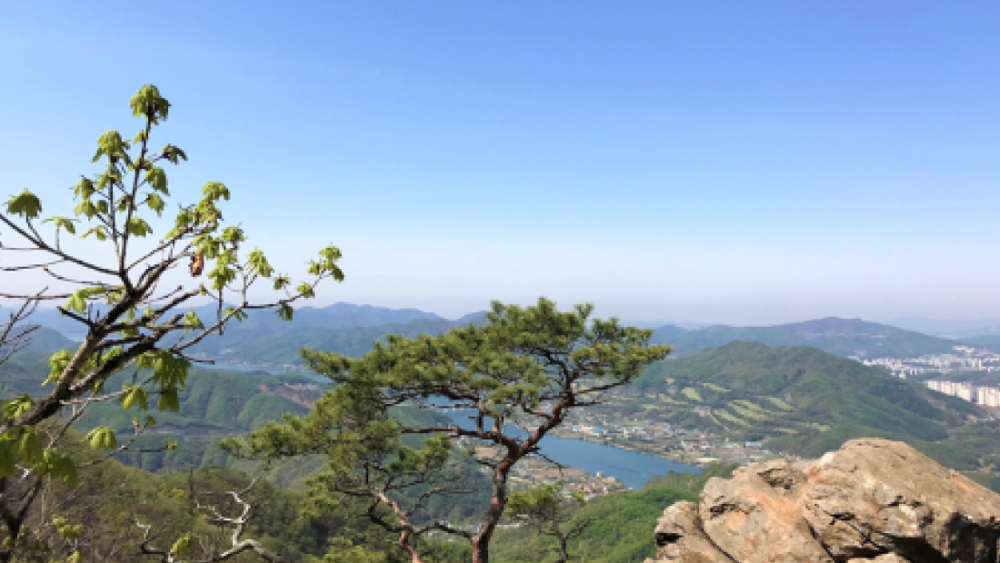 병원 이미지 27
