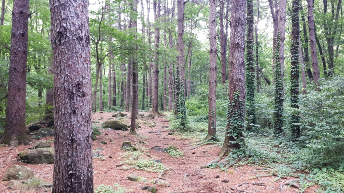 병원 이미지 15