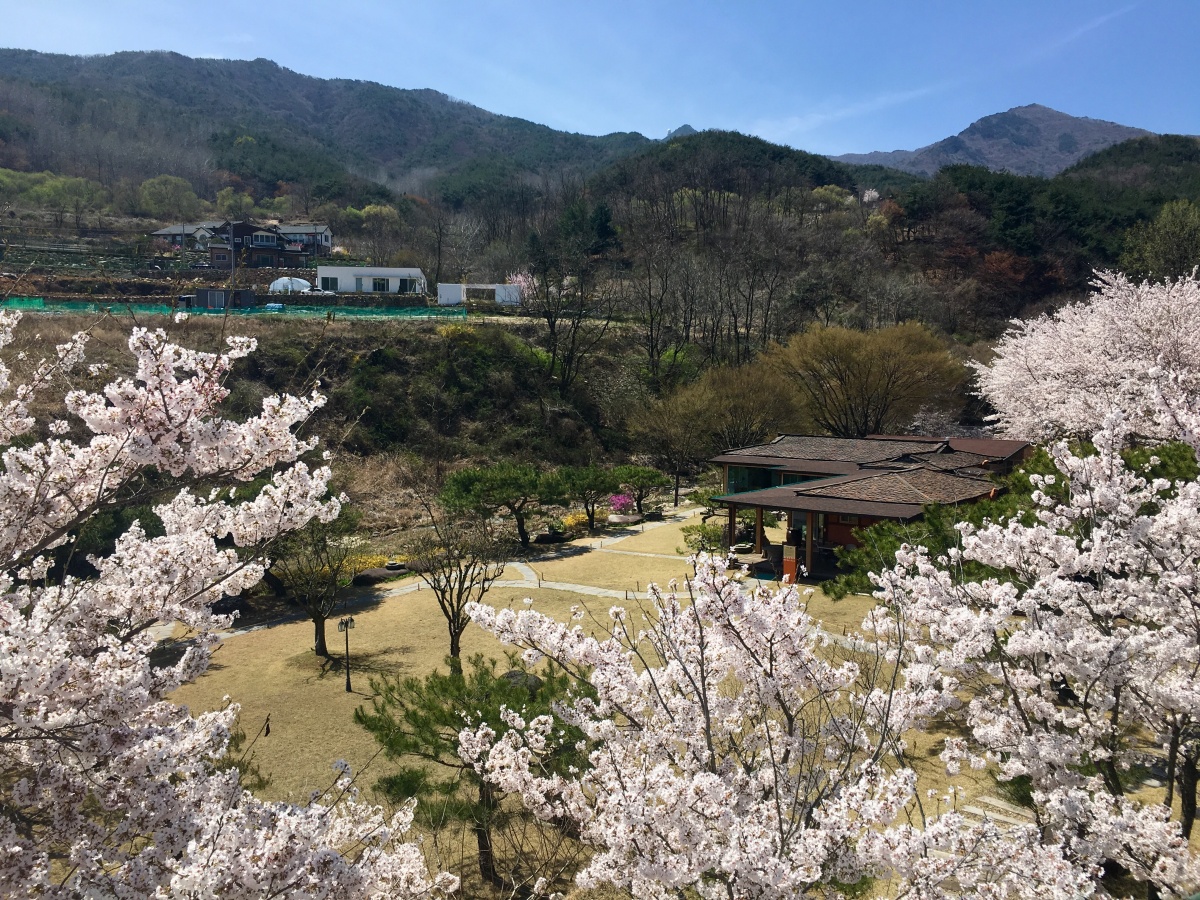 병원 이미지 6