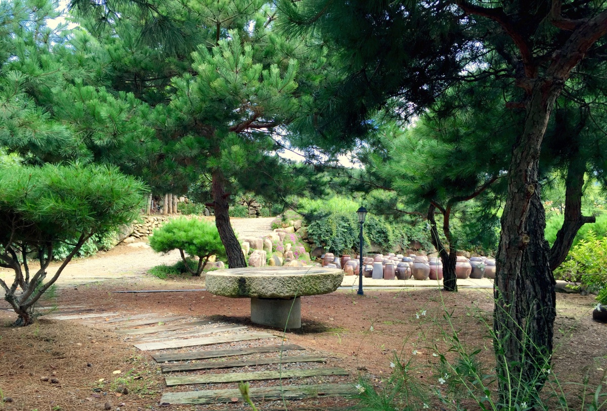 병원 이미지 18