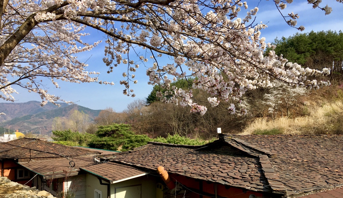 병원 이미지 22