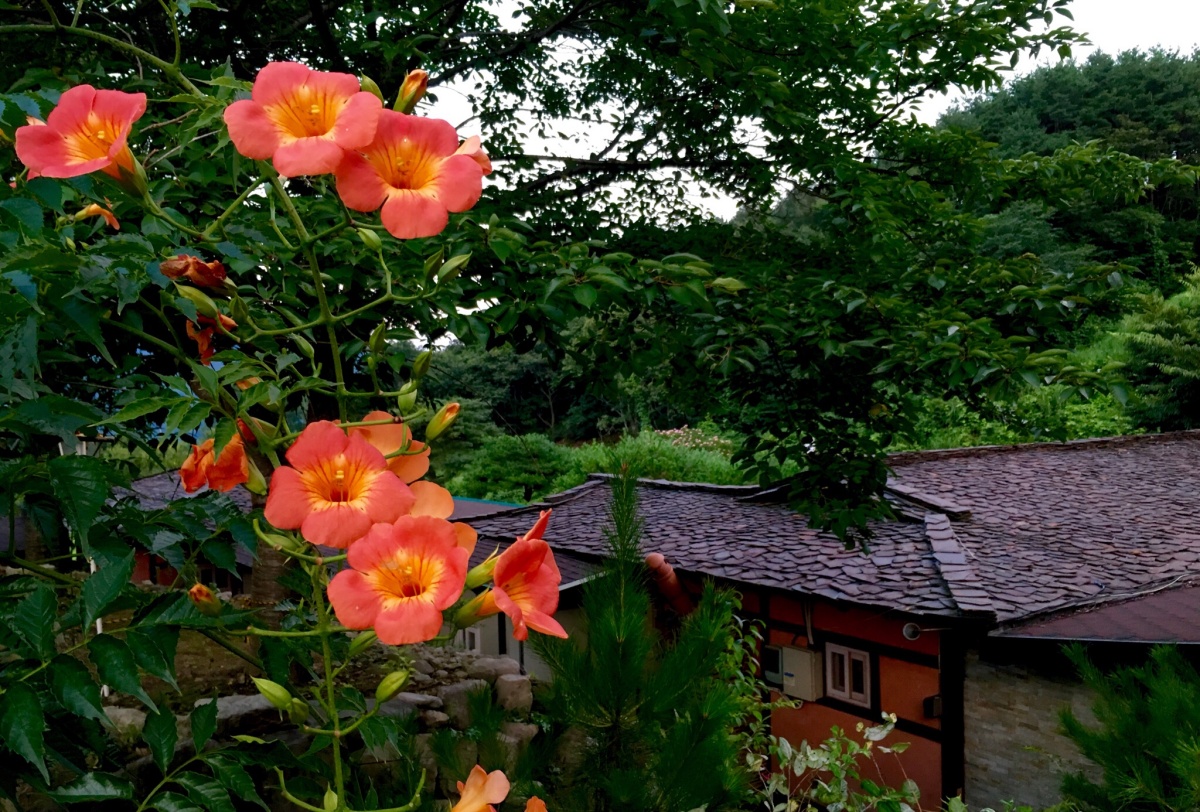 병원 이미지 41