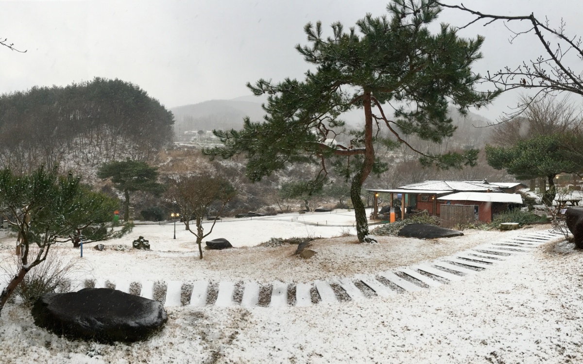병원 이미지 43