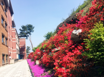 병원 이미지 3