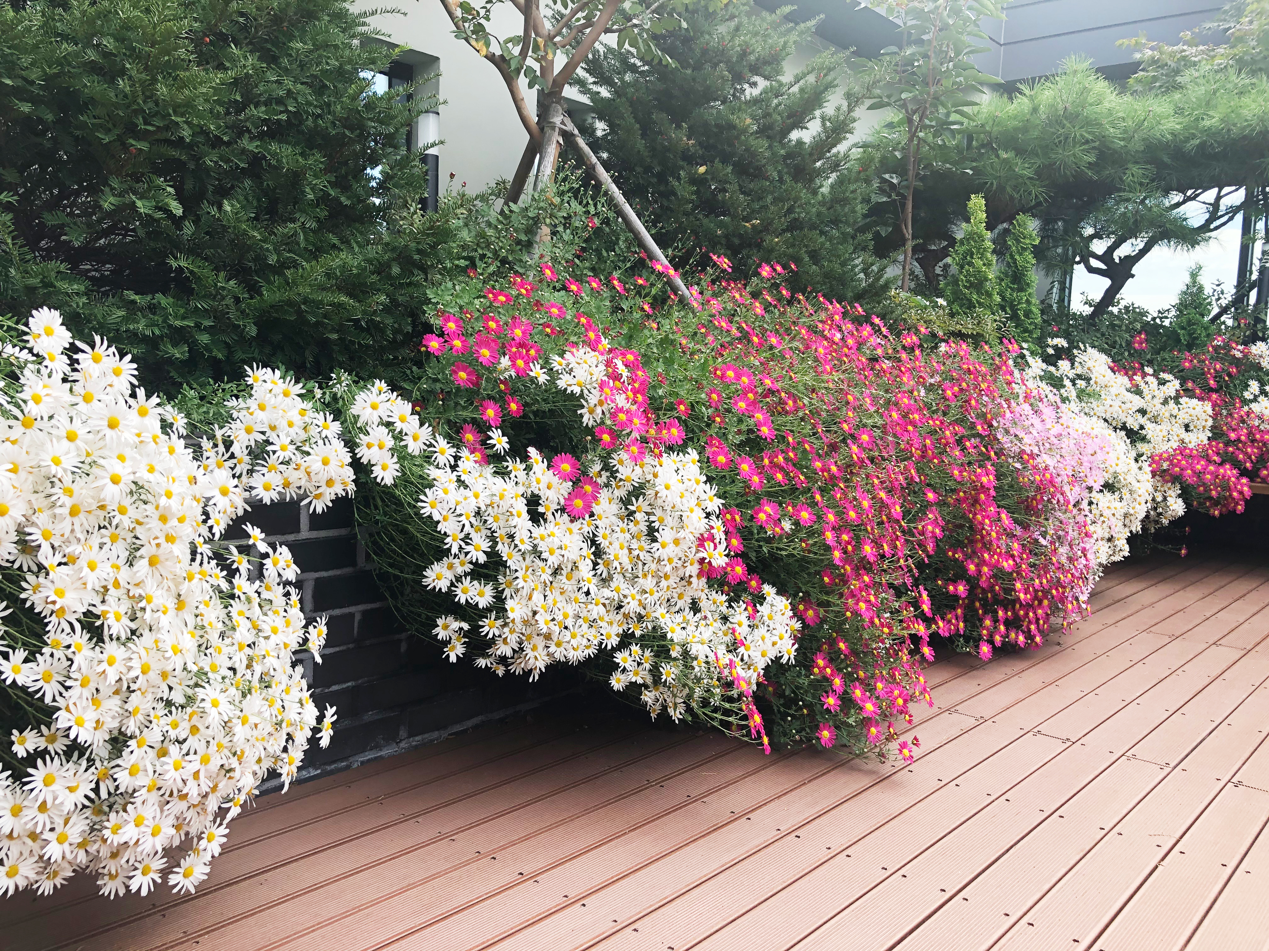 병원소식 이미지 4