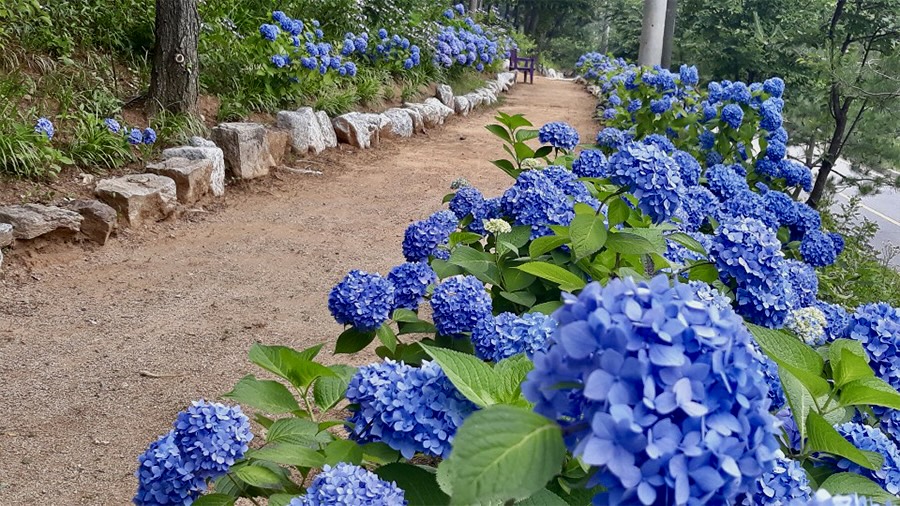 병원 이미지 7