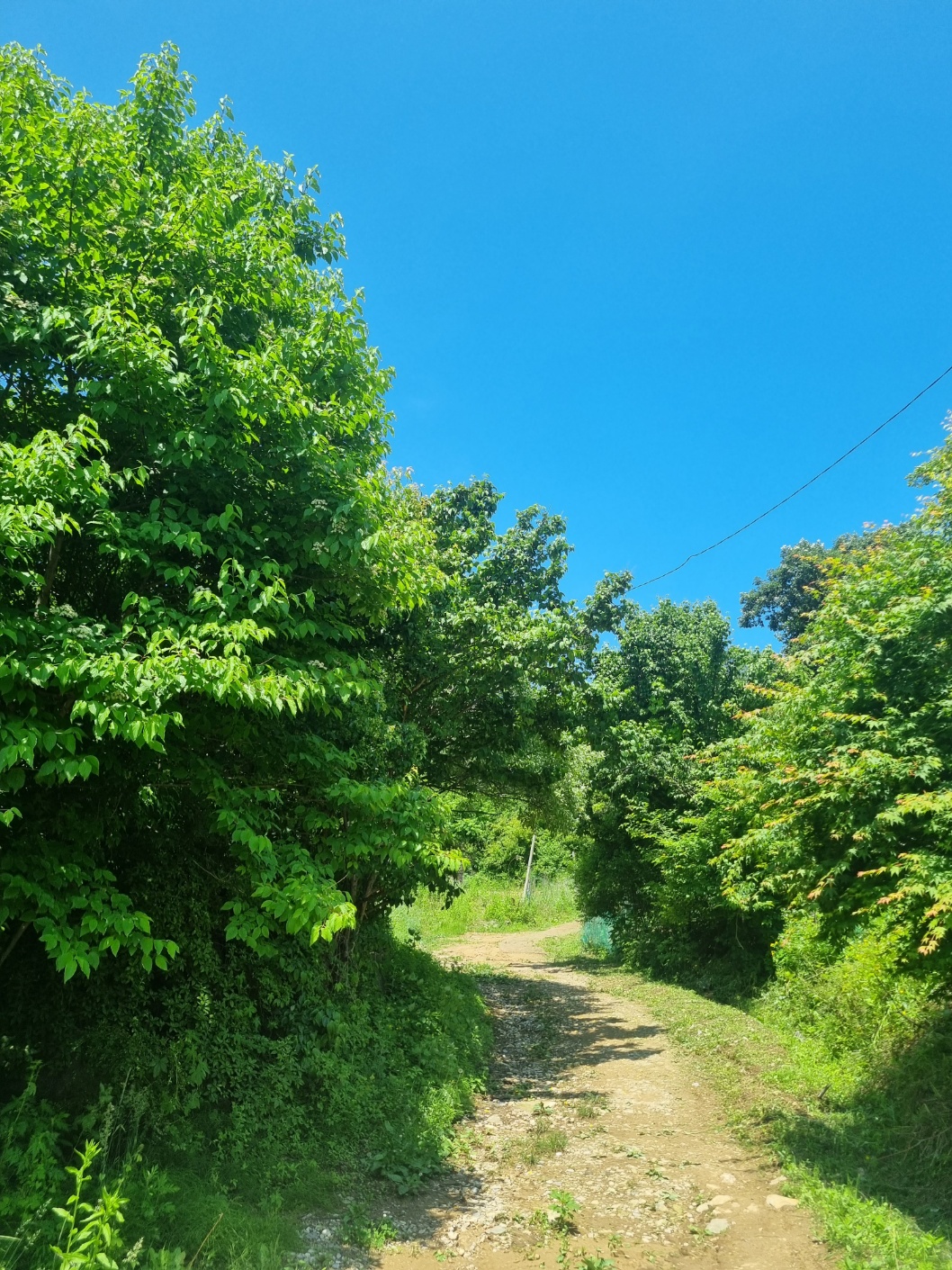 병원 이미지 6
