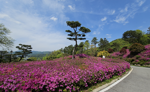 병원 이미지 14