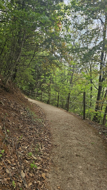 병원 이미지 15