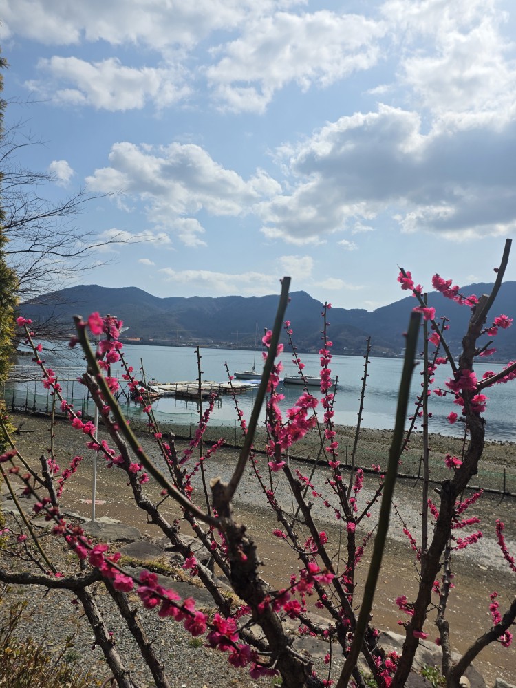 병원 이미지 22