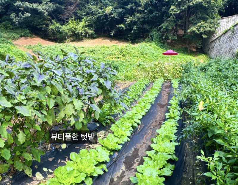 병원 이미지 5