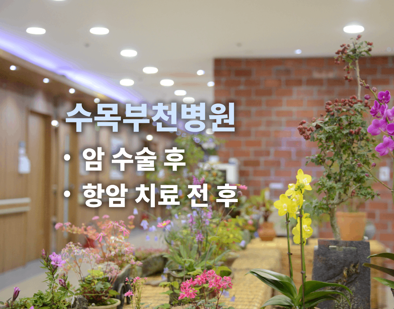 병원 이미지 3