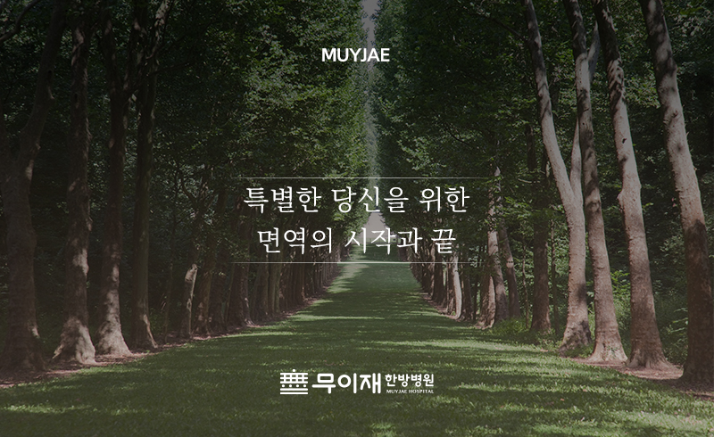 지친 몸과 마음이 다시 일어서는 따뜻한 쉼표