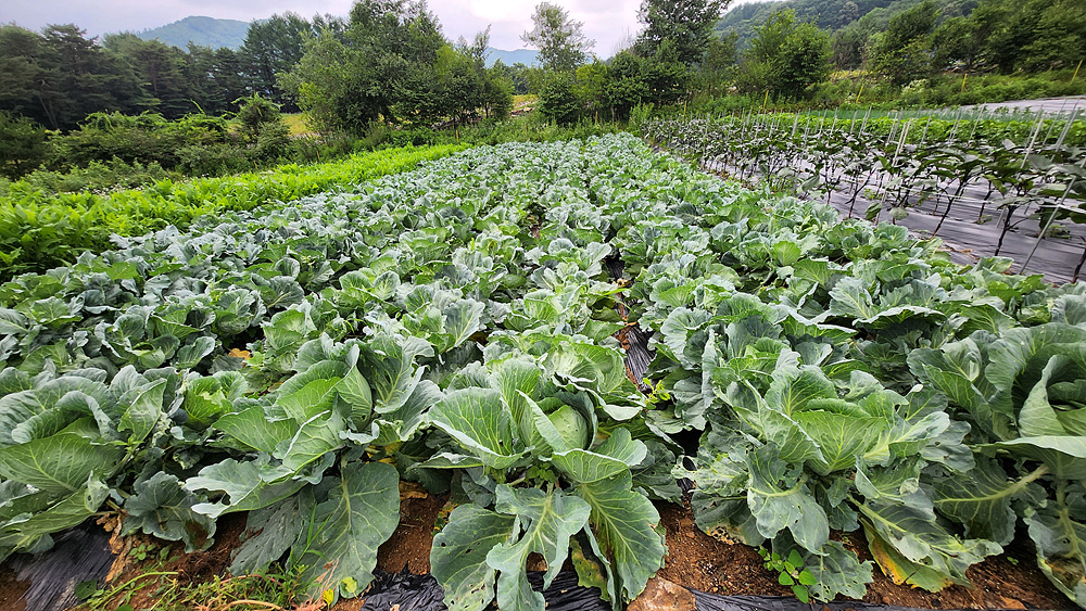 병원 이미지 18