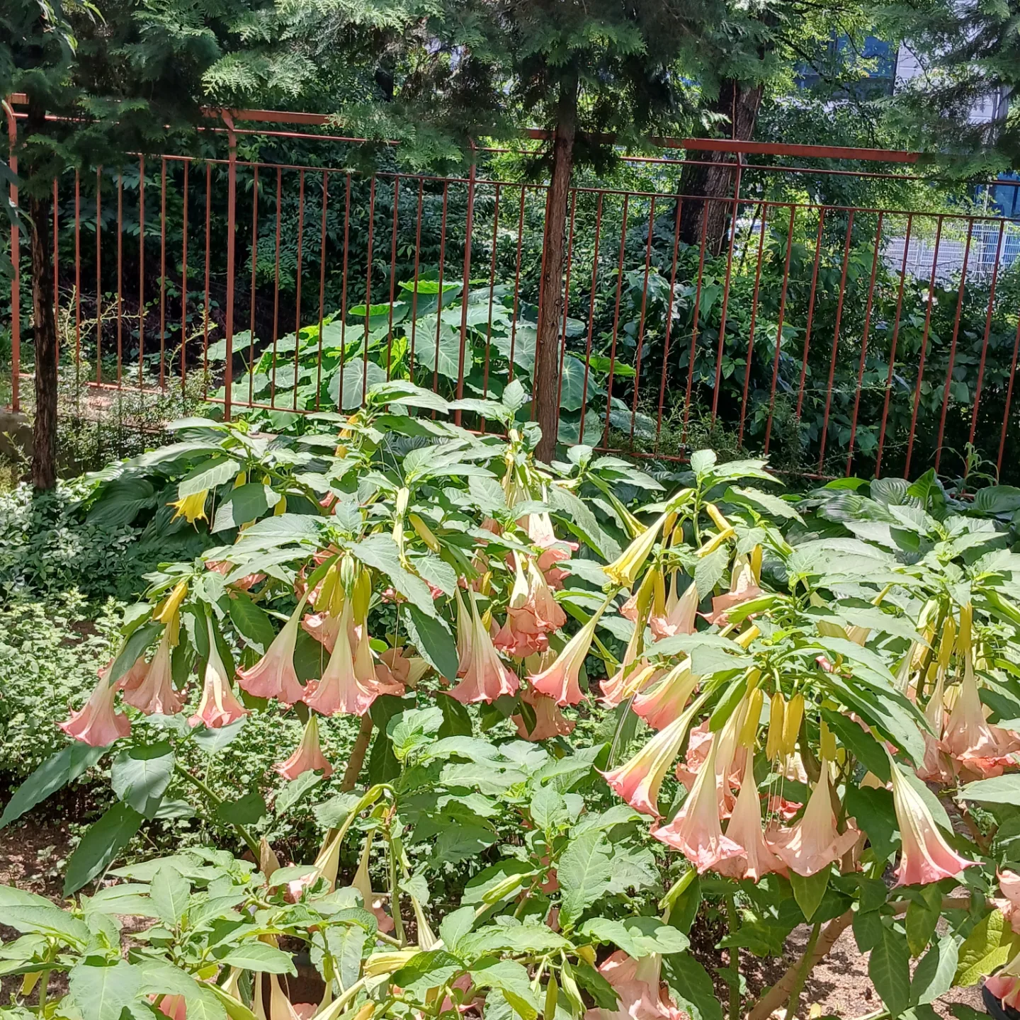 병원 이미지 6