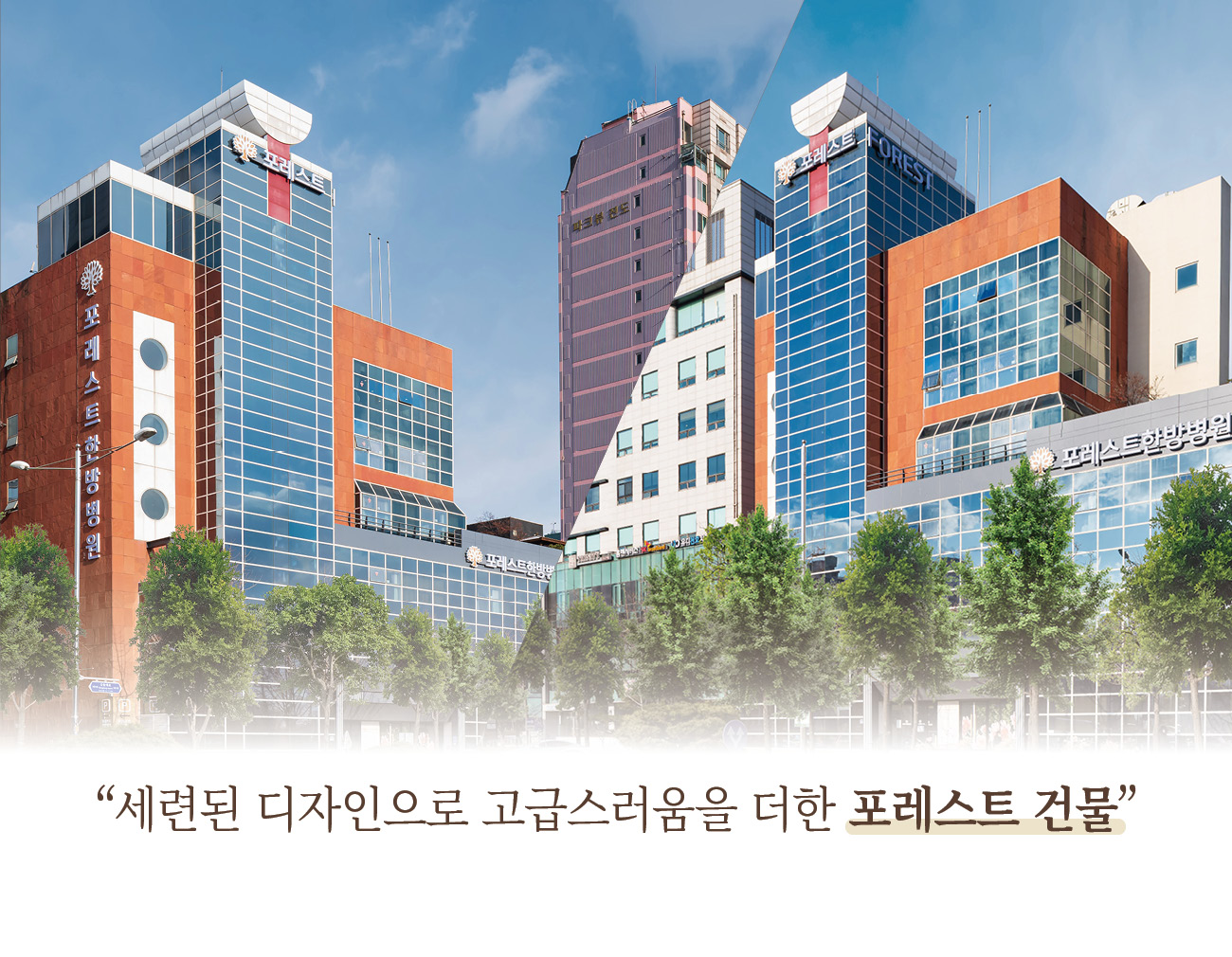 병원 이미지 48