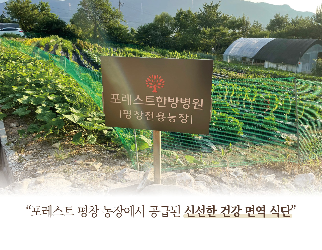 병원 이미지 63