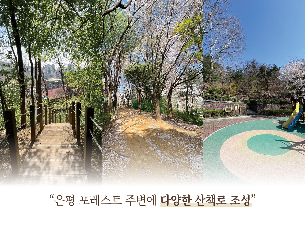 병원 이미지 65