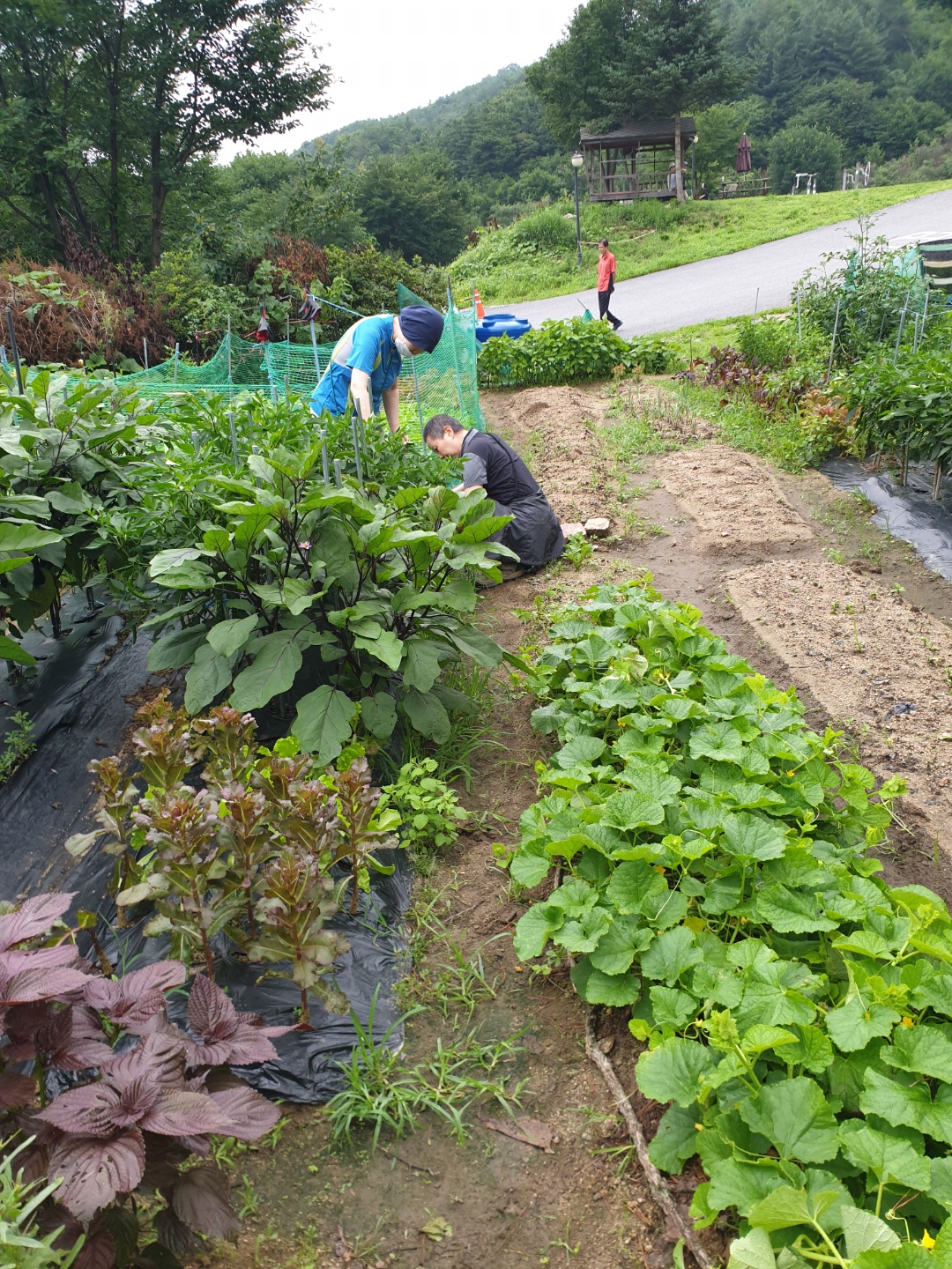 병원 이미지 12
