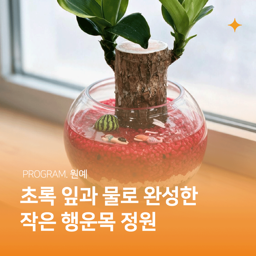 병원소식 이미지 1