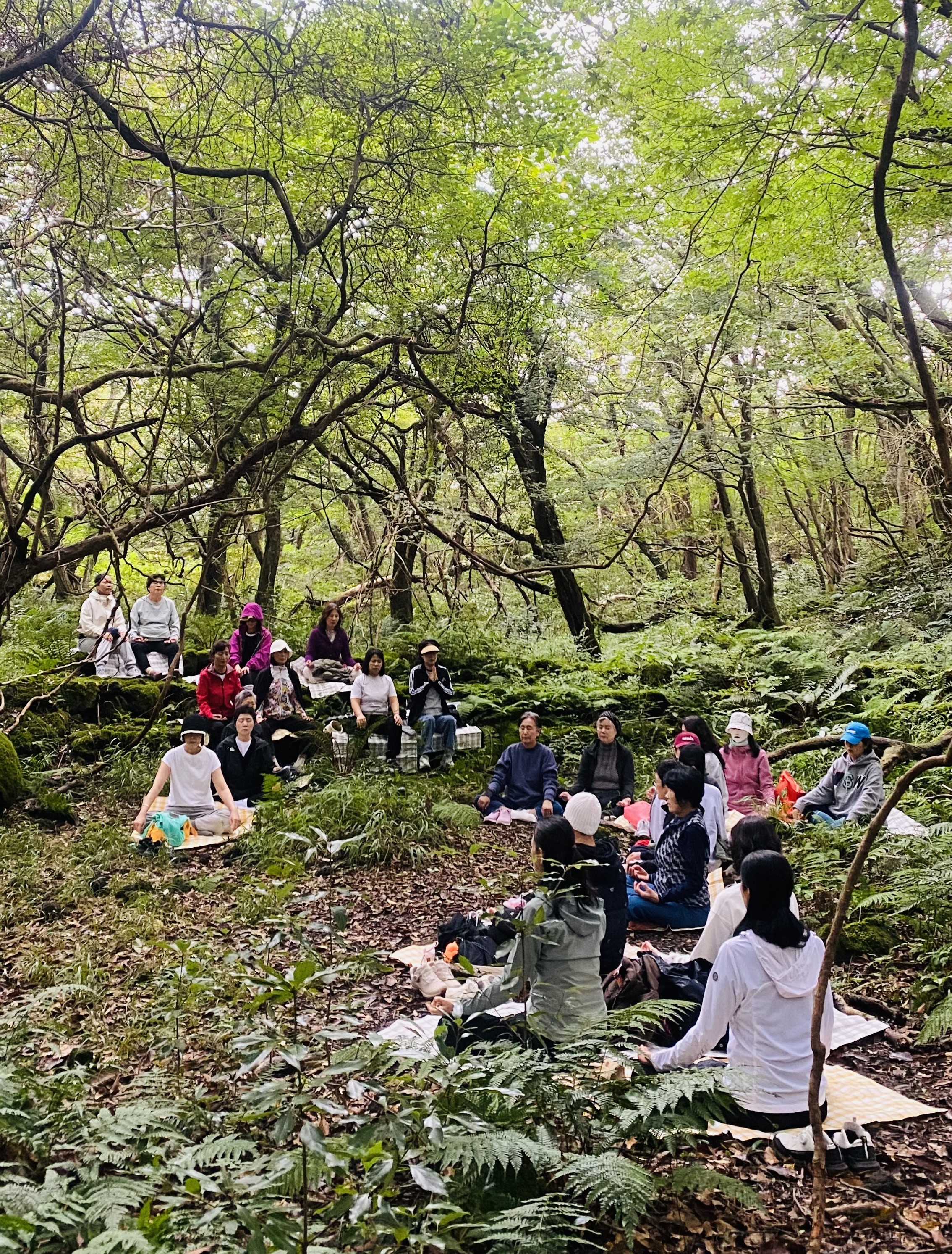 병원소식 이미지 3