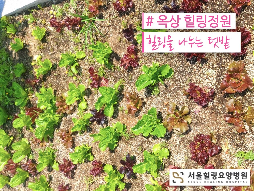 병원소식 이미지 2