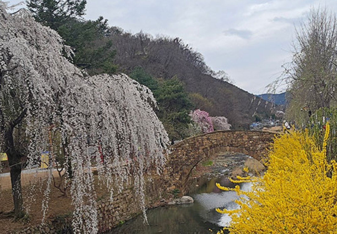병원소식 이미지 1