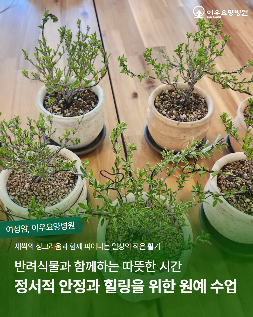 병원소식 이미지 1