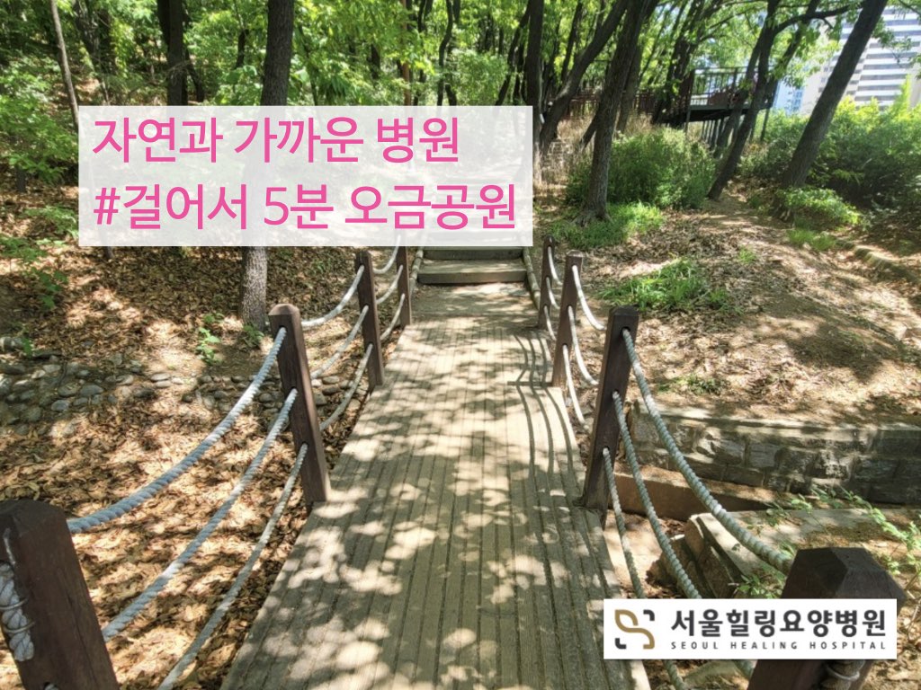 병원소식 이미지 2