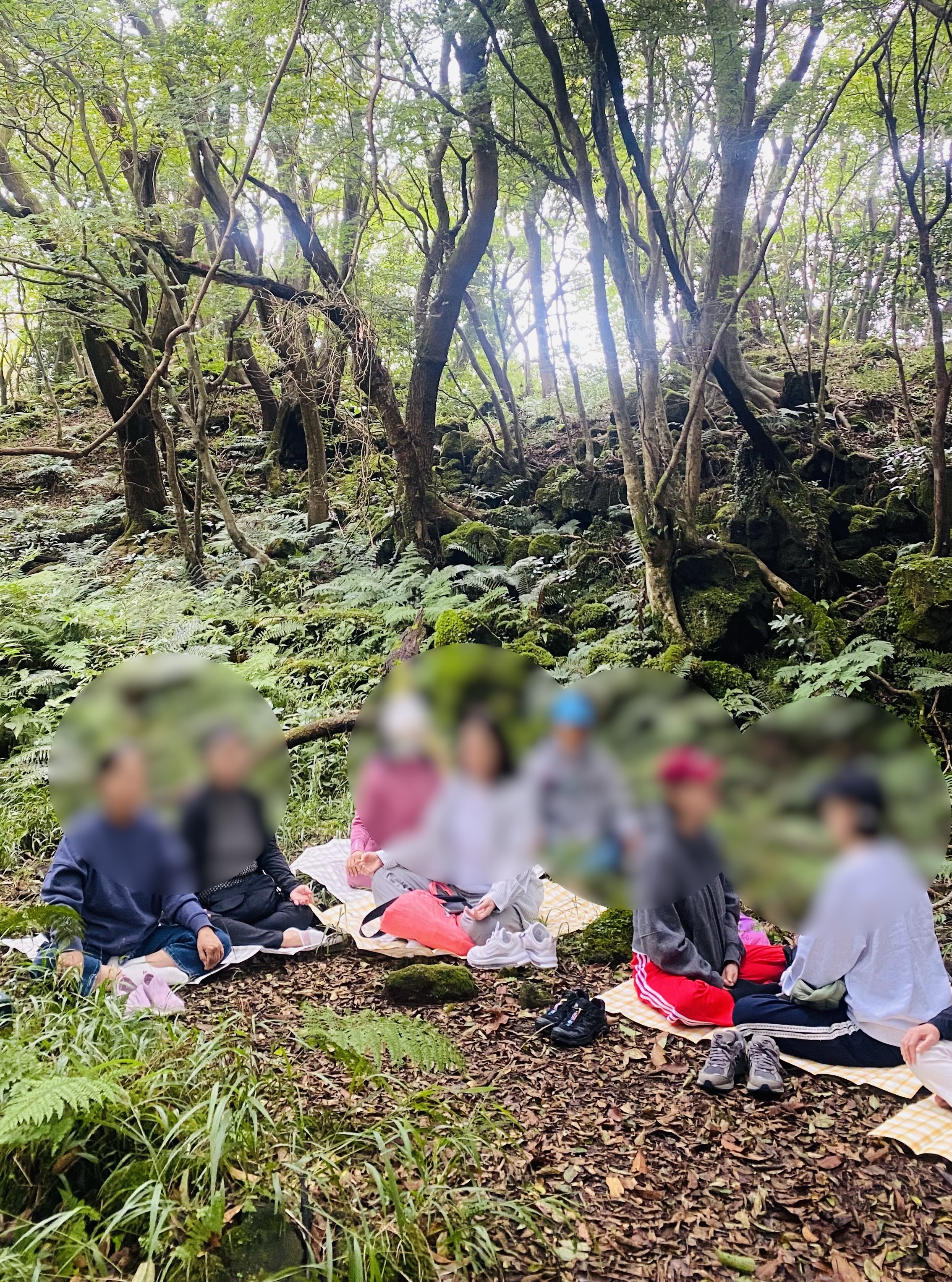 병원소식 이미지 2