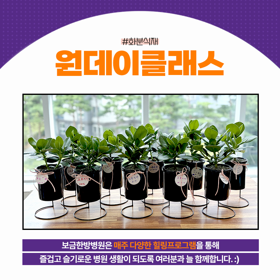 병원소식 이미지 1